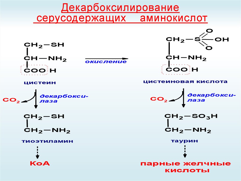 Декарбоксилирование аминокислот презентация