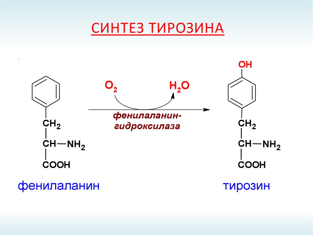 Синтез тирозина. Тирозин синтезируется из фенилаланина. Синтез тирозина из фенилаланина. Синтез адреналина из фенилаланина. Образование тирозина из фенилаланина реакция.