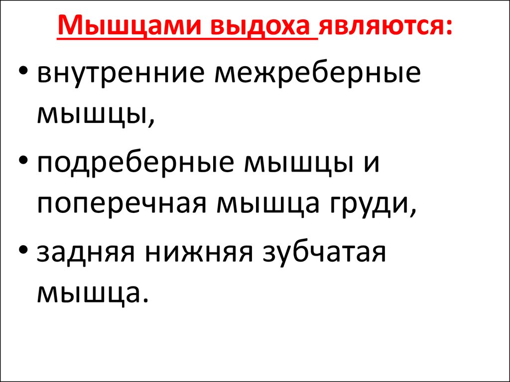 Мышцы выдоха. К мышцам выдоха относятся. Мышцами выдоха являются. Дополнительными мышцами выдоха являются:. Основными мышцами выдоха являются:.