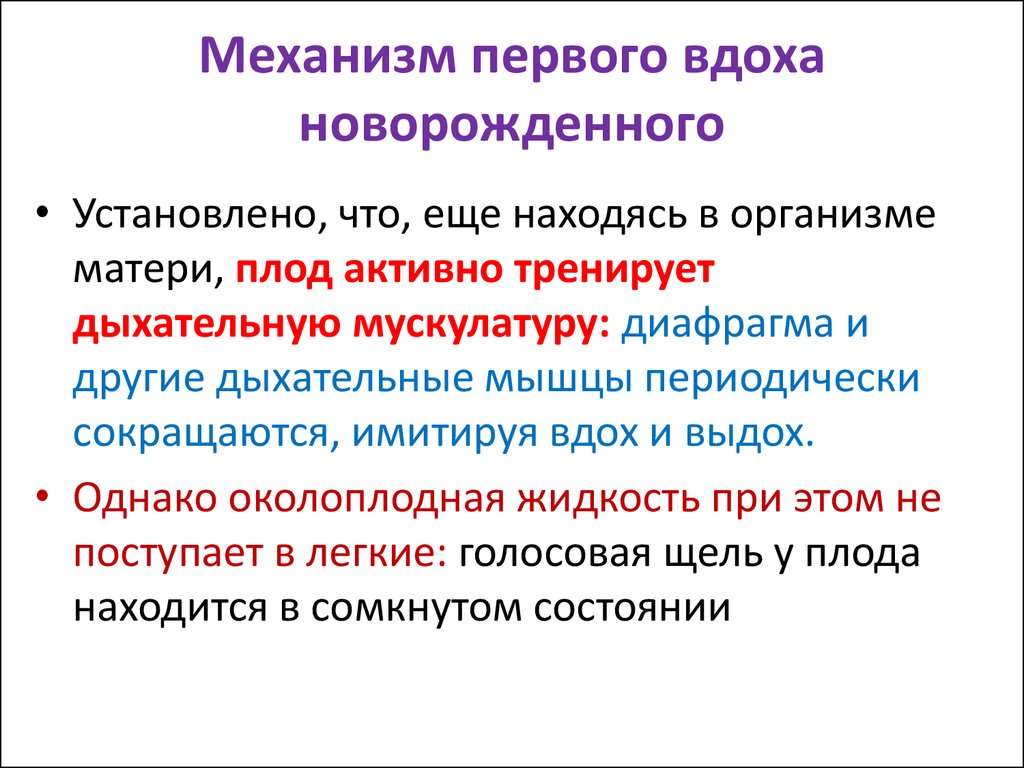 На чем основан первый вдох новорожденного