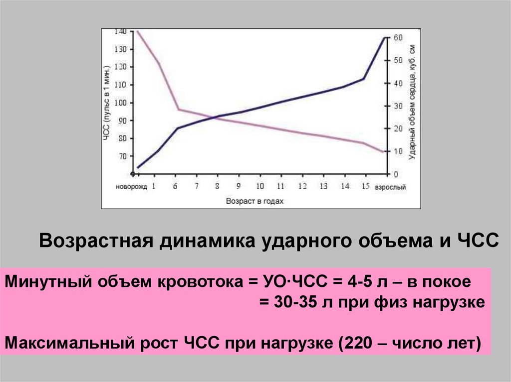 Расчет ударного объема. Ударный объём на ЧСС это. ЧСС возрастная динамика. ЧСС И минутный объем. Ударный объем сердца при физической нагрузке.