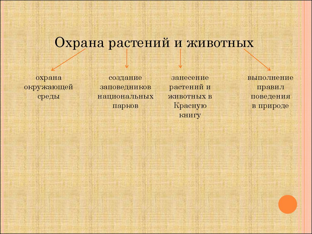 Охрана растений и животных. Меры охраны редких растений и животных. Меры по охране растений. Охрана растений и живот. Охрана растений и жвоныэ.