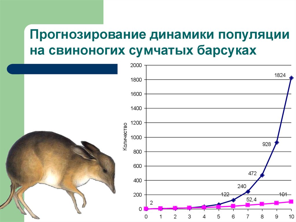 Зайцы изменение численности. Динамика популяций график. Графики изменения численности популяций. Динамика численности популяции графики. Популяция животных.