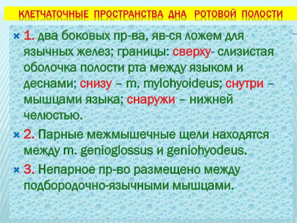 Непр взойденный. Клеточные пространства дна полости рта. Клетчаточные пространства ротовой полости.