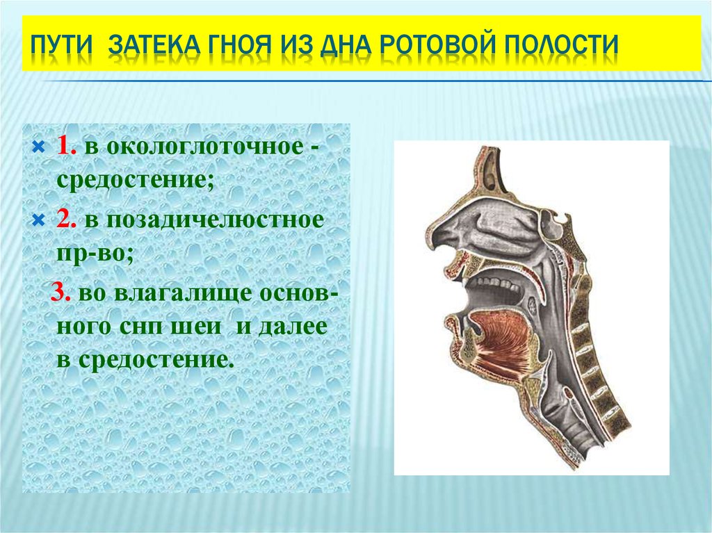 Заполните схему осмотра глотки виды исследования норма патология осмотр подчелюстной области