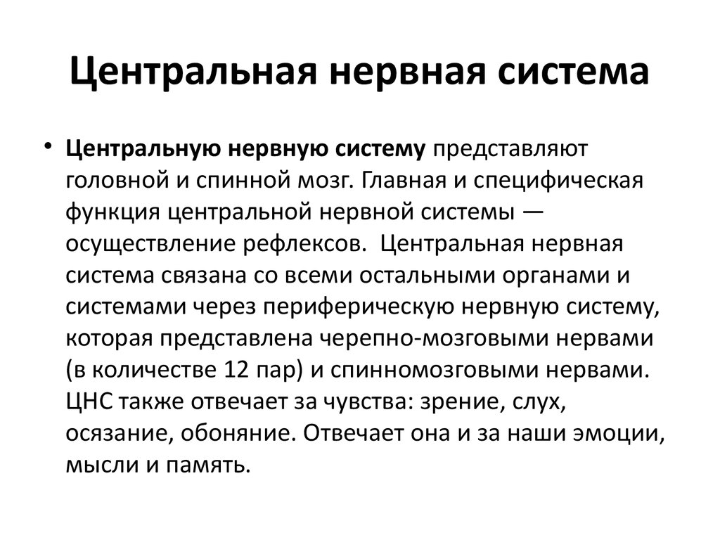 Центральная система. Функционирование центральной нервной системы человека кратко. Центральная нервная си тема. Синтралние нервная система. Функции отделов центральной нервной системы.