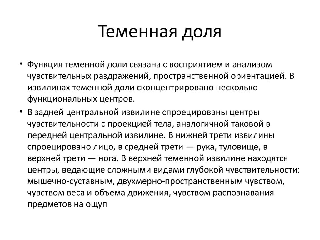 Чувственный анализ. Функции теменной доли головного мозга. Функция теменной доли головного мозга кратко.