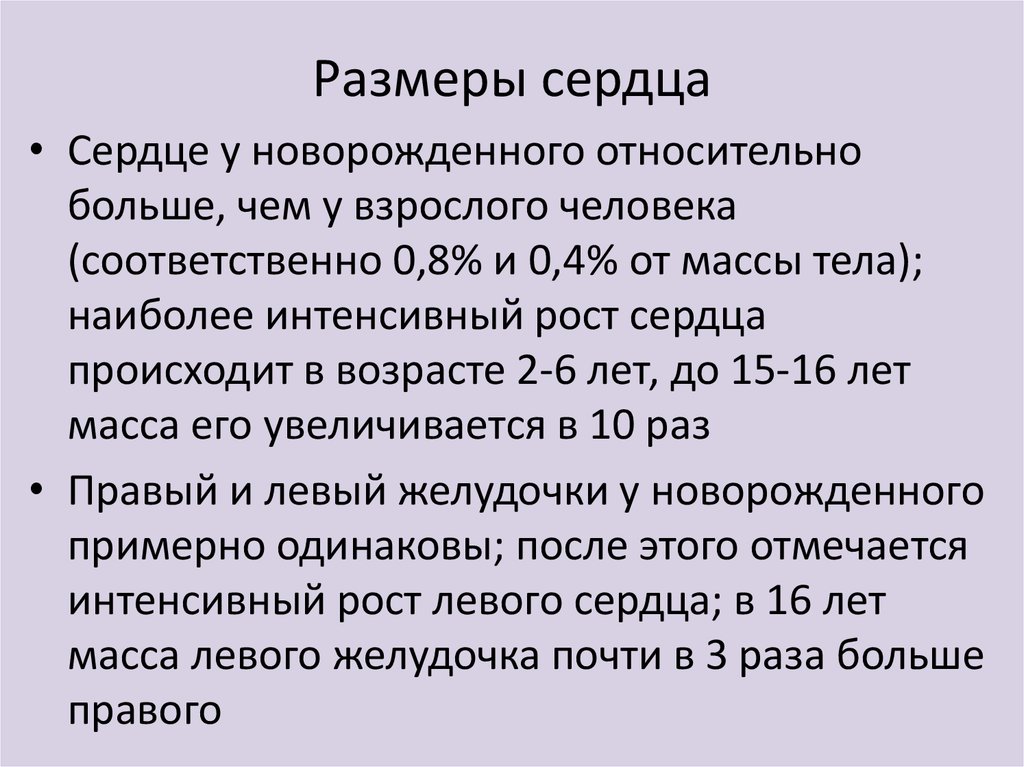 Размеры сердца