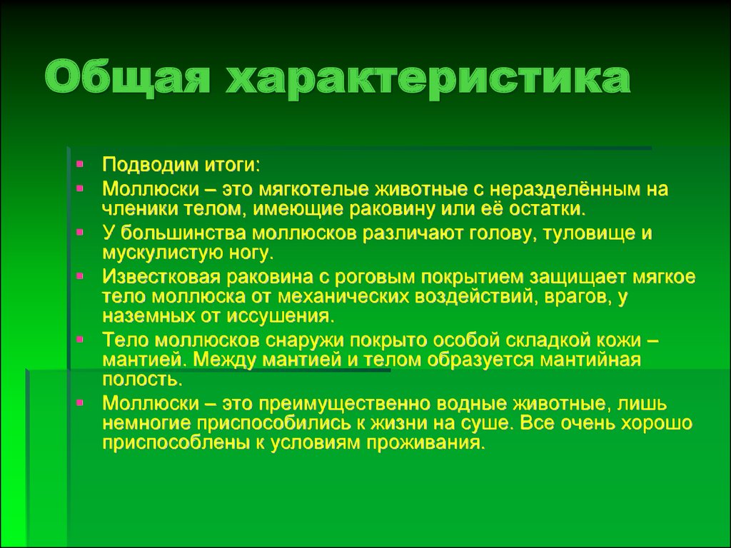 Общая характеристика моллюсков. Моллюски общая характеристика. Дать общую характеристику типу моллюски. Общая характеристика малюск.