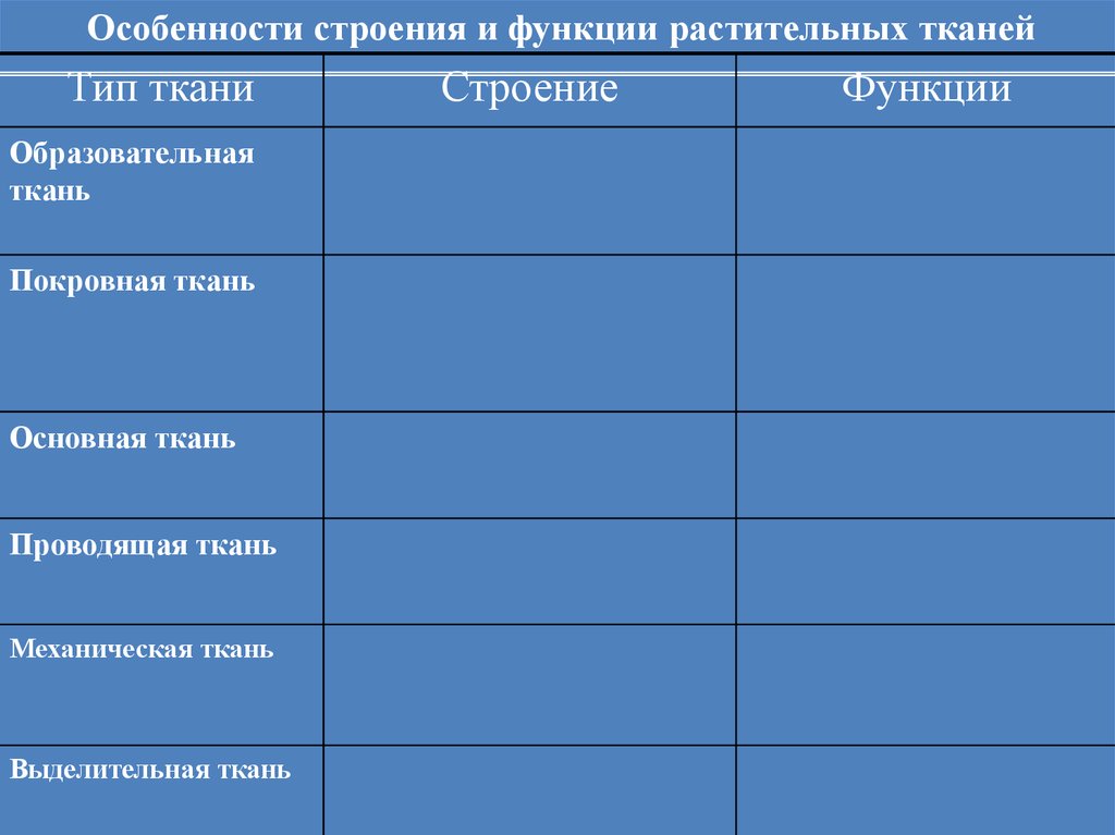 Характеристика растительных тканей. Покровная ткань особенности строения и функции. Особенности строения и функции растительных тканей. Особенности строения образовательной ткани. Образовательная ткань особенности строения и функции.