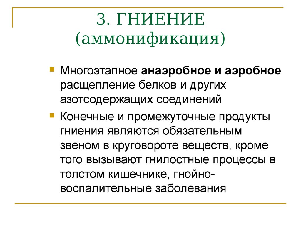 Аммонификация. Аммонификация гниение. Процесс аммонификации белков. Аммонификация бактерии.