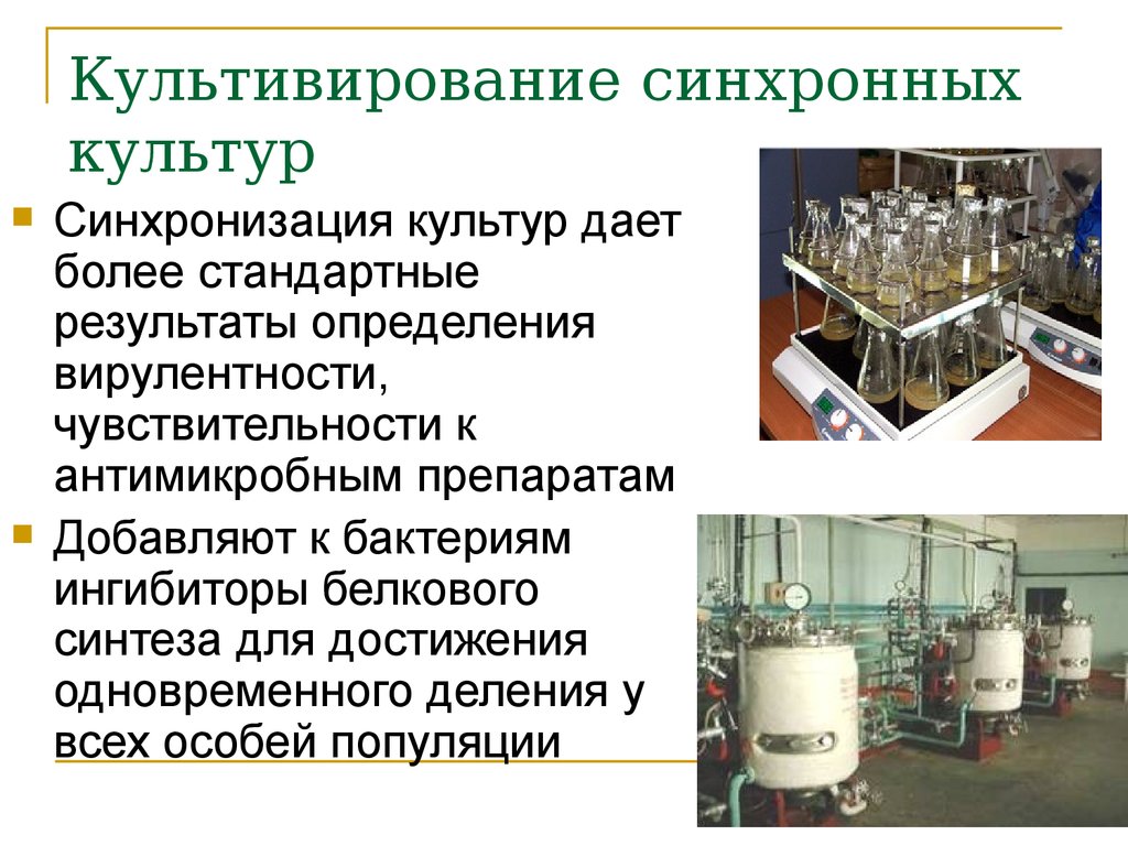 Культивирования микроорганизмов презентация