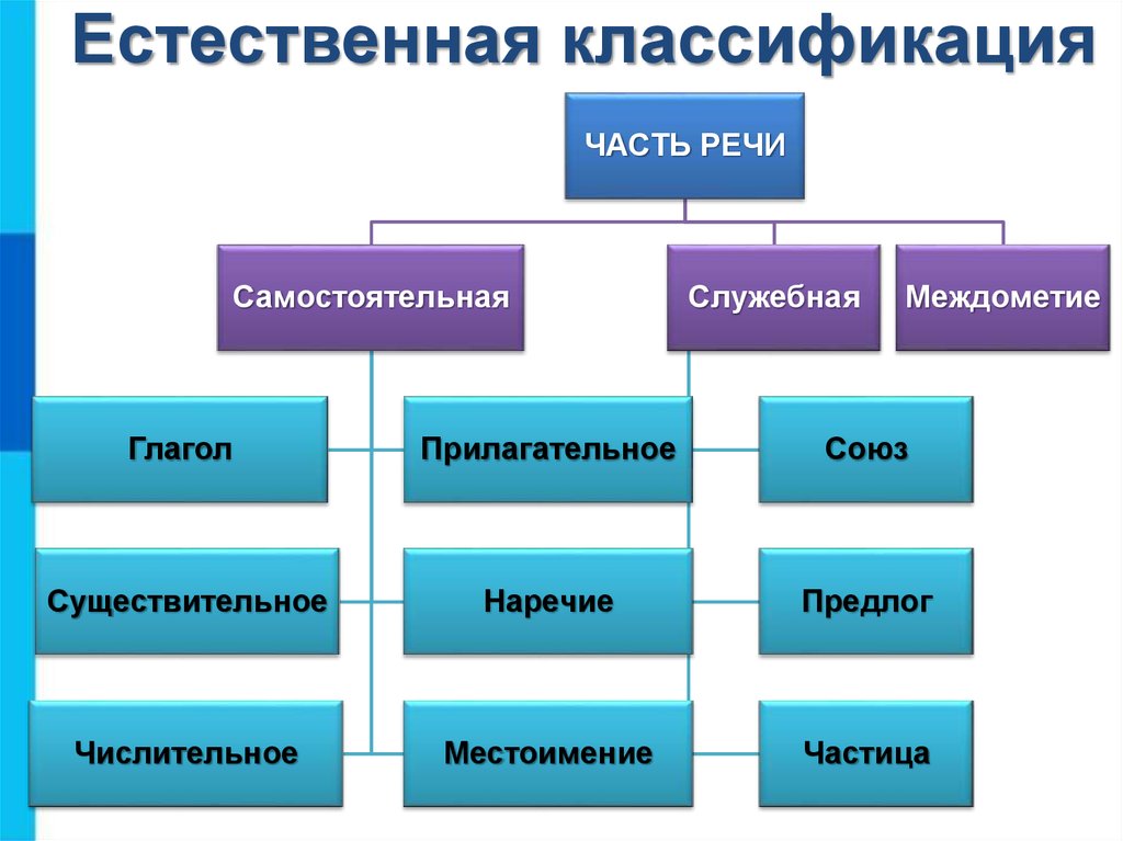 Красивая классификация в презентации