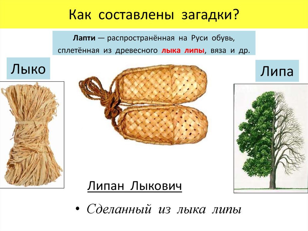 Загадка бородой трясет лыко дерет. Липа лыко лапти. Загадки про лапти для детей. Презентация про лапти для дошкольников. Мочало из липы.