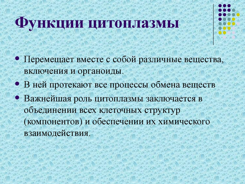 Характеристика цитоплазмы. Цитоплазма в клетке выполняет функции. Функции цитоплазмы в клетке. Функции цитоплацитоплазмы. Роль цитоплазмы.