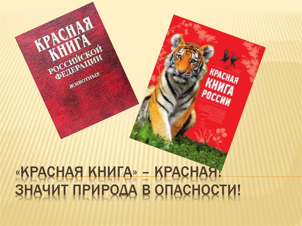 Знакомство С Красной Книгой В Старшей Группе