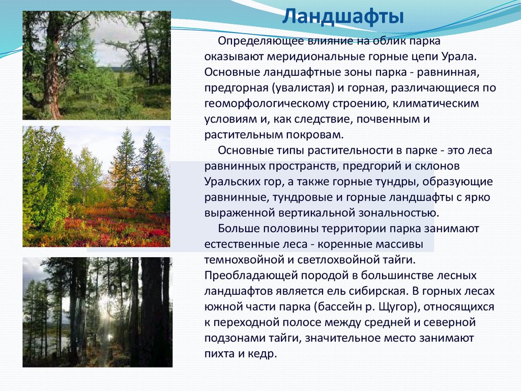 Преобладающая порода это. Основные виды ландшафтов. Лесные ландшафты презентация. Особенности горного ландшафта. Лесные ландшафты примеры.