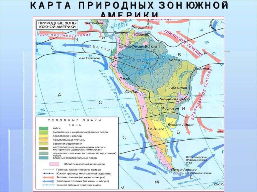 Климат природных зон северной америки таблица. Природные зоны Южной Америки таблица 7 класс география. Природные зоны Южной Америки 7. Климатические зоны Южной Америки таблица. Природные зоны Южной Америки 7 класс география.