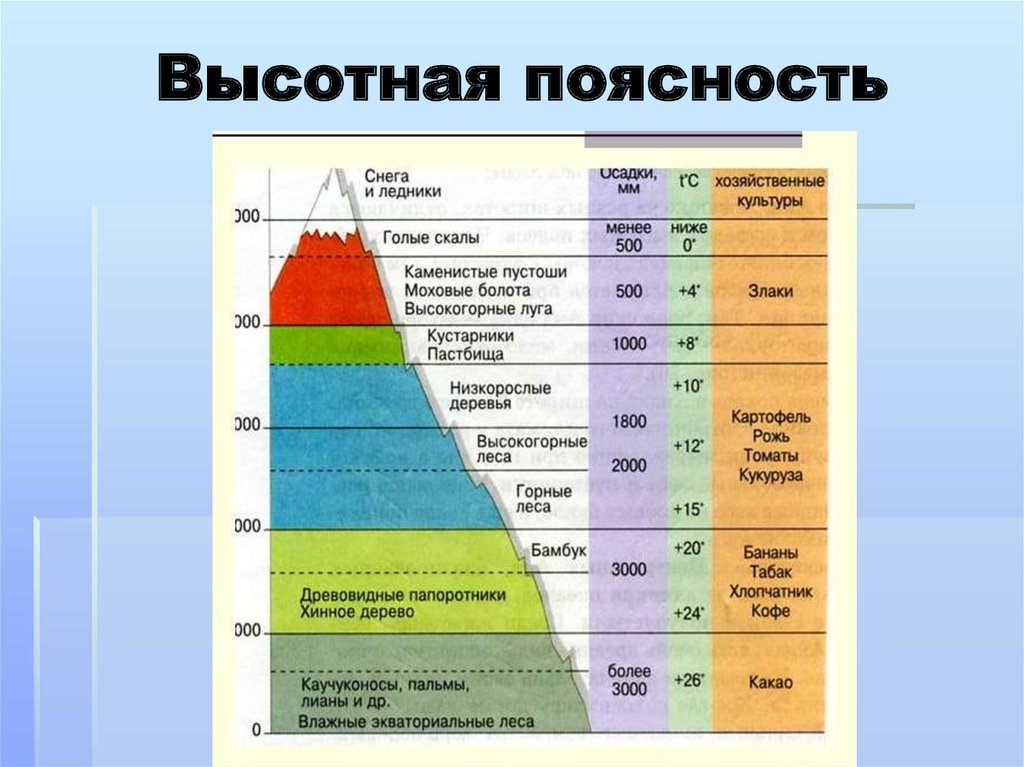 Тип климата в природных зонах. Природные зоны ВЫСОТНОЙ поясности. Высотная природная поясность таблица. Область ВЫСОТНОЙ поясности это природная зона. Климат области ВЫСОТНОЙ поясности в Евразии.