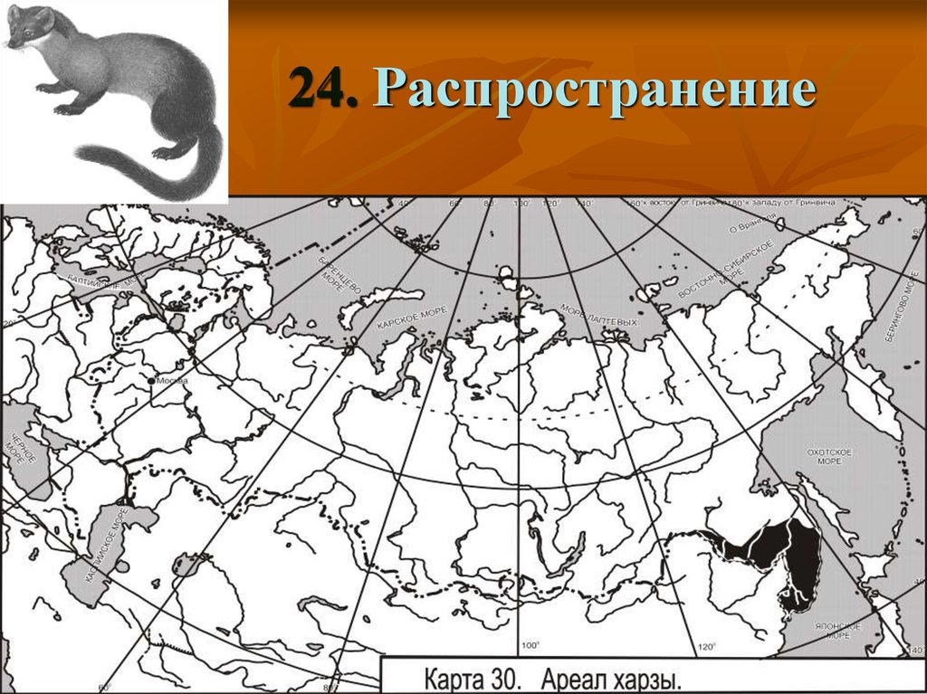 Перед вами карта евразии на которой отмечены места обитания нижеперечисленных животных белый медведь