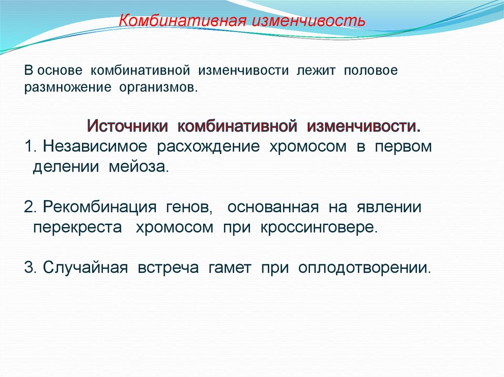 Презентация на тему изменчивость наследственная и ненаследственная 10 класс