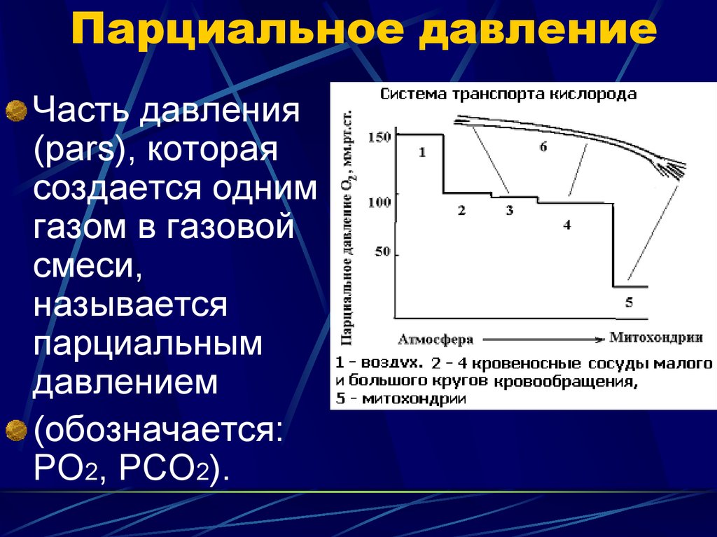 Определение парциального давления водяного пара и упругости насыщенных паров на i d диаграмме