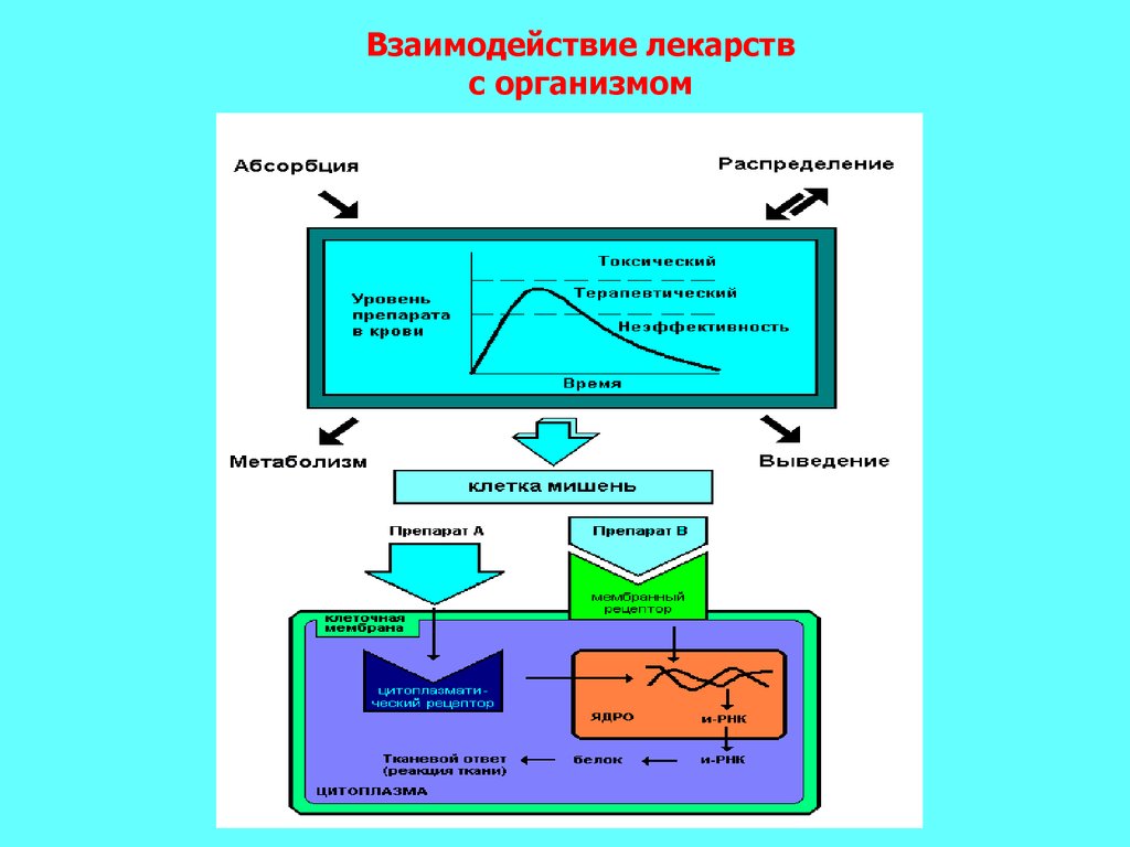 Взаимодействие лекарств. Взаимодействие лекарственных средств в организме. Взаимодействие лекарственных средств на уровне метаболизма. Виды взаимодействия лекарств с организмом.