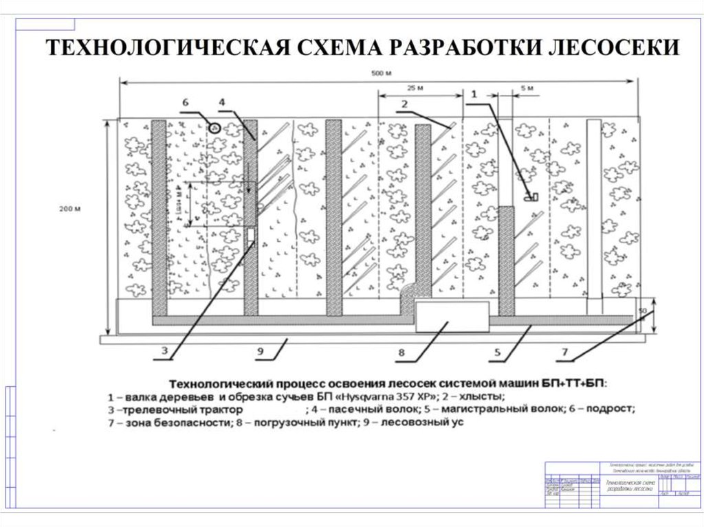 Схема разработки. Технологическая схема разработки лесосеки. Схема разработки лесосеки Харвестером. Технологическая схема разработки лесосеки форвардера. Схема разработки лесосеки для технологической карты.