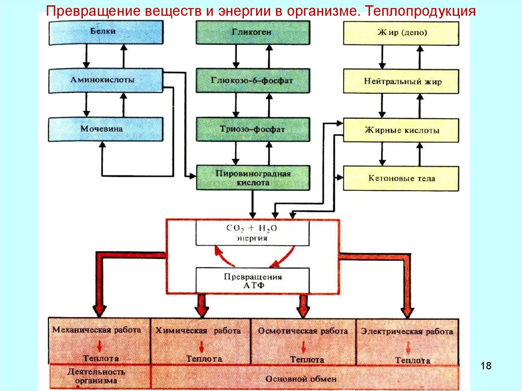 Схема превращения веществ химия