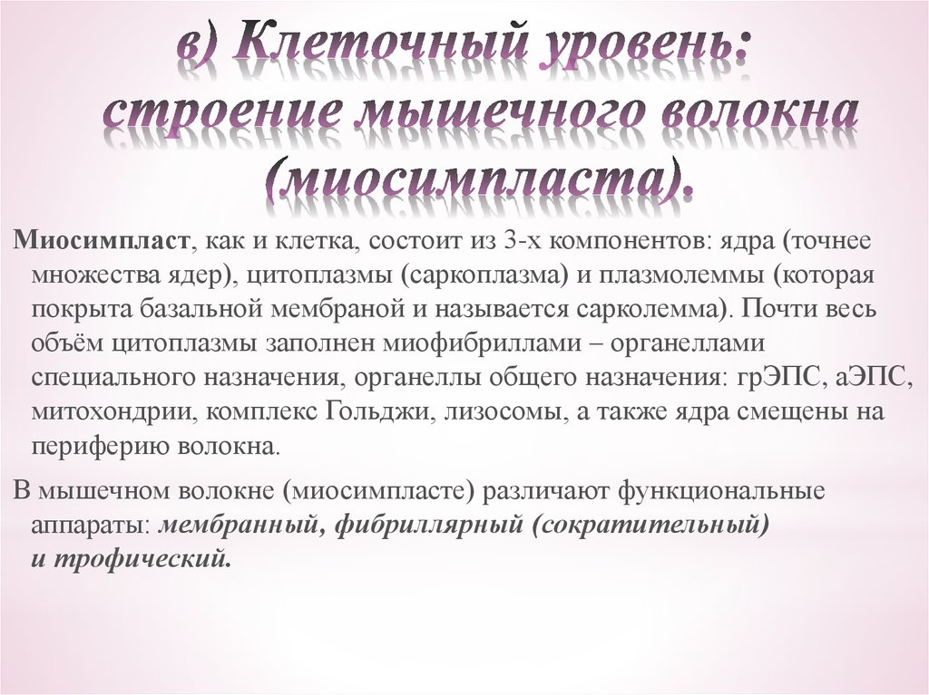 Уровень стр. Мышечное сокращение это какой уровень организации жизни. Биофизика мышечного сокращения презентация. Степень развития показателя анатомия. Функциональные аппараты миосимпласта.