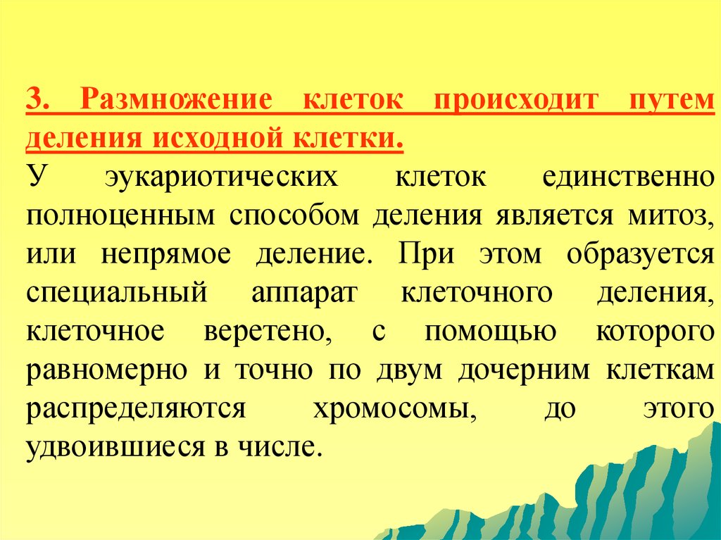 Исходные клетки это. Размножение клеток происходит путем их деления. Способы размножения клеток. Непрямое деление.