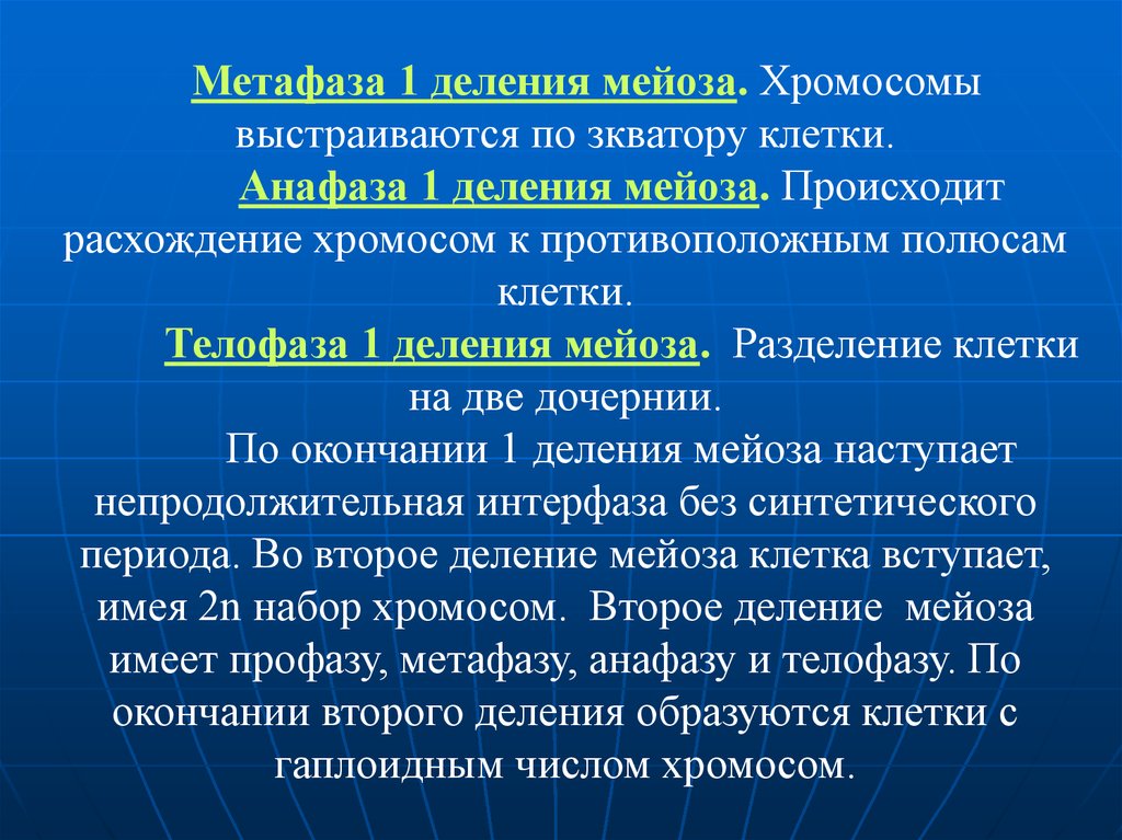 В анафазе происходит расхождение. Хромосомный набор в анафазе мейоза 1. Хромосомный набор в анафазе мейоза 2. Разделение клетки. Расхождение хромосом к полюсам клетки.