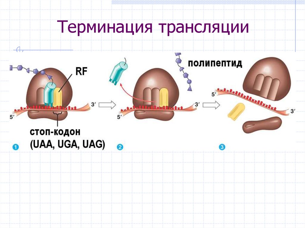 Когда трансляция киберпанк