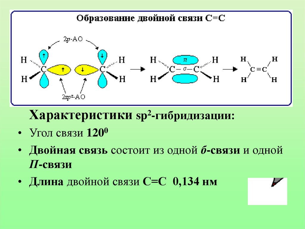 Молекулах есть двойная связь. Sp2 гибридизация атома углерода. Sp2-гибридные атомы углерода. Сп2 гибридизация углерода. Sp2 гибридизированный атом углерода.