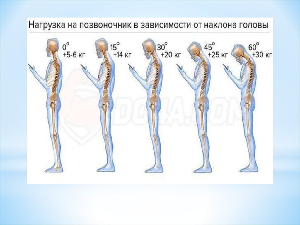 I функция в организме