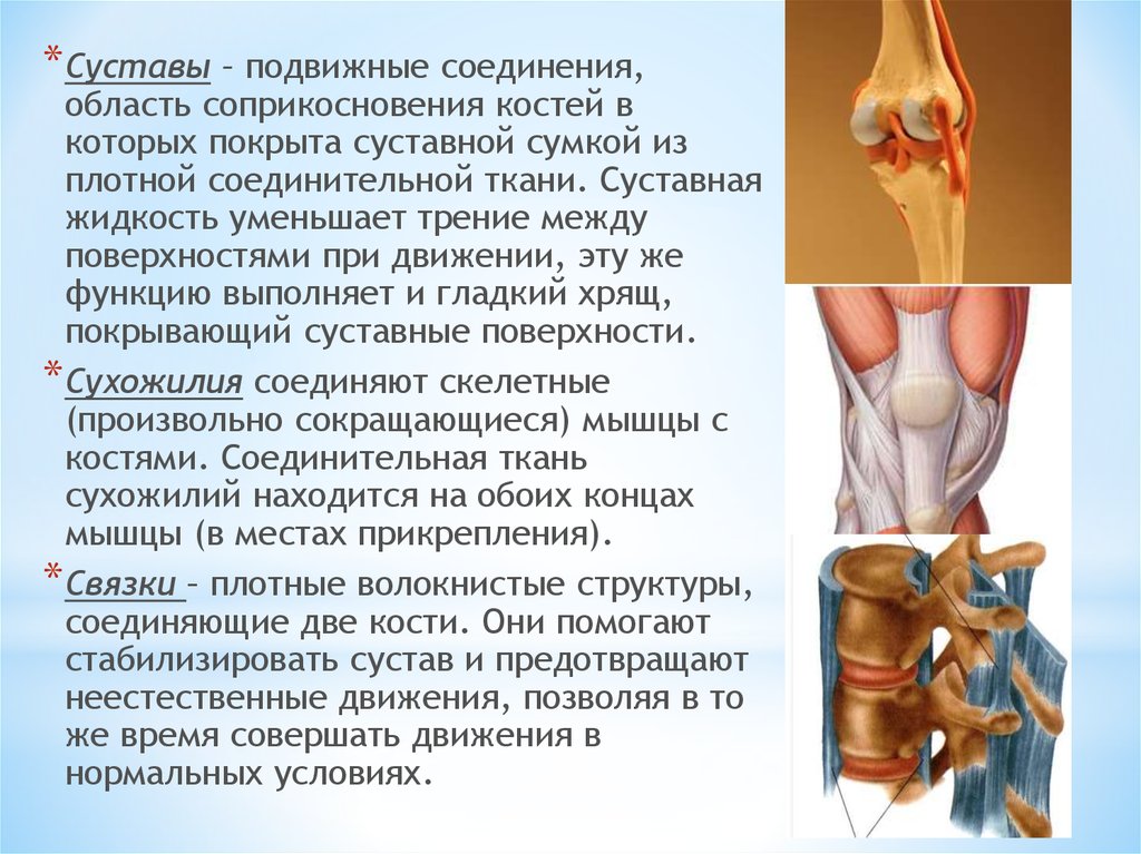 Процесс восстановления функций организма