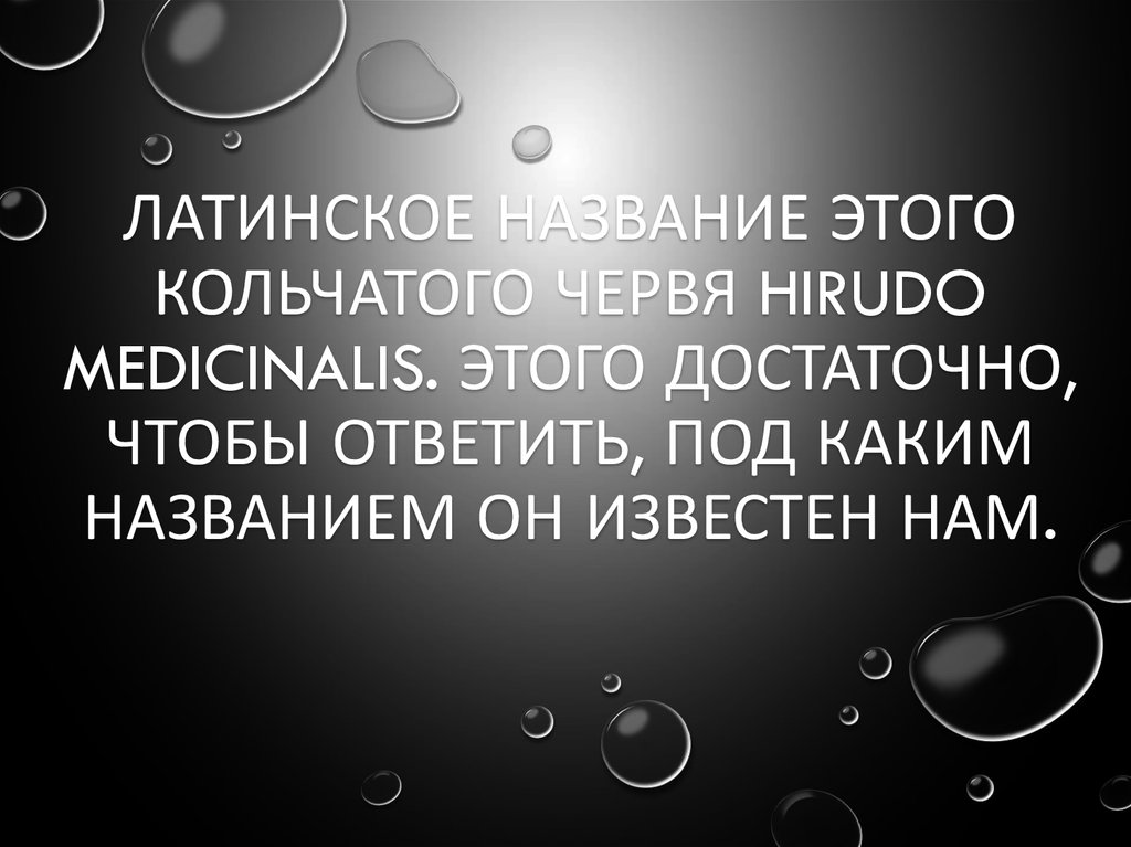 Под каким именем нам больше известен один простой служитель закона под номером 548