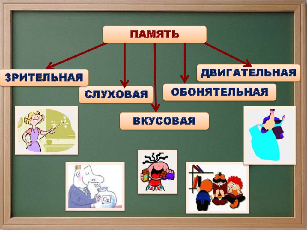 Другие виды изображений. Зрительная слуховая двигательная память. Типы памяти слуховая Зрительная. Виды памяти двигательная Зрительная слуховая. Виды памяти картинки.