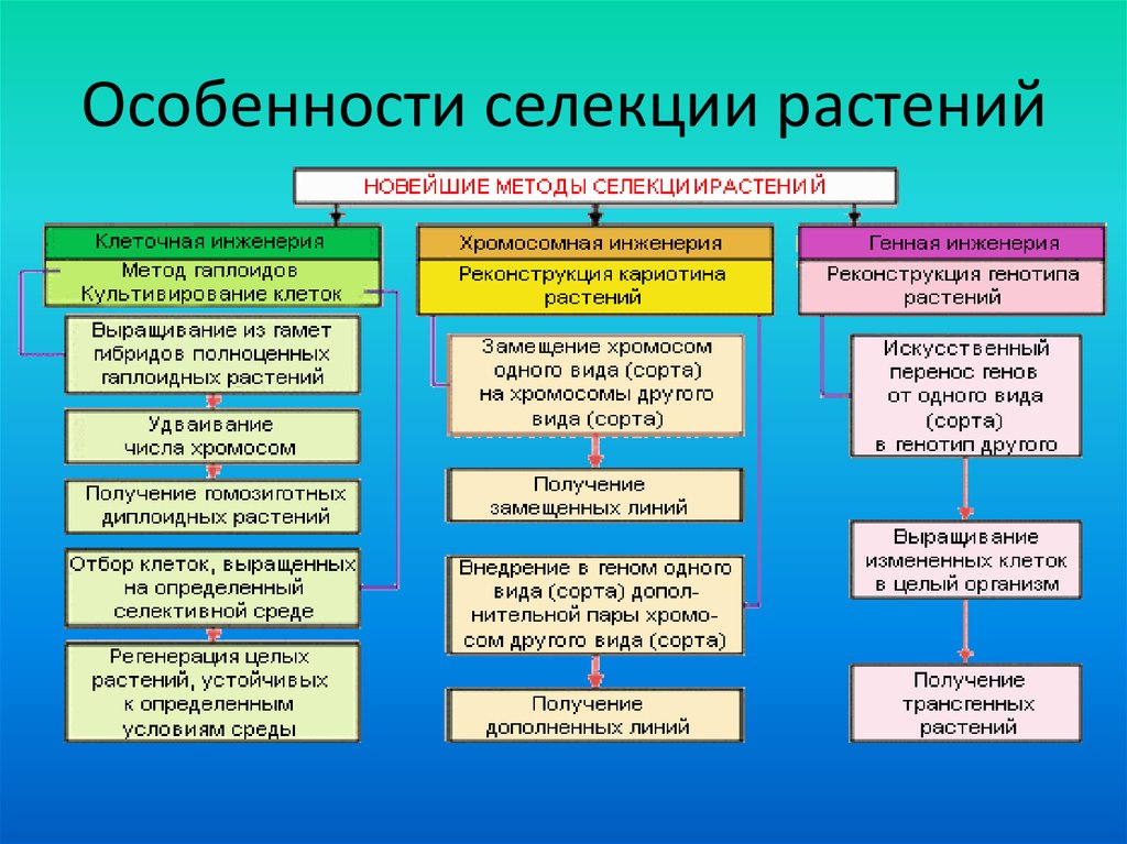 Чем селекция растений отличается от селекции животных