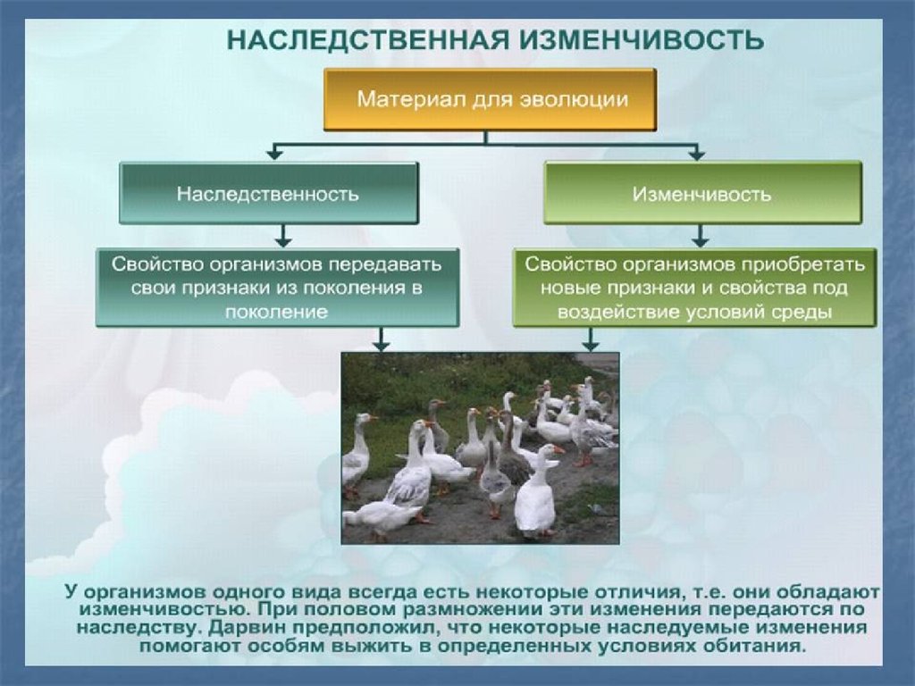 Презентация эволюционная теория дарвина 9 класс презентация