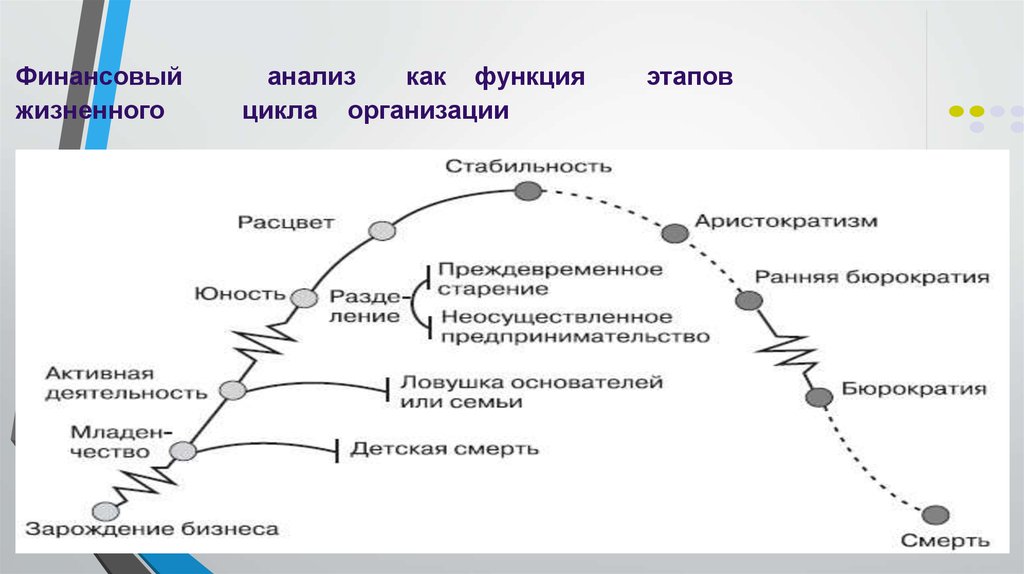 Анализ финансового цикла. Анализ жизненного цикла предприятия. Финансовый цикл компании. Финансовый жизненный цикл. Методика анализа жизненного цикла организации.