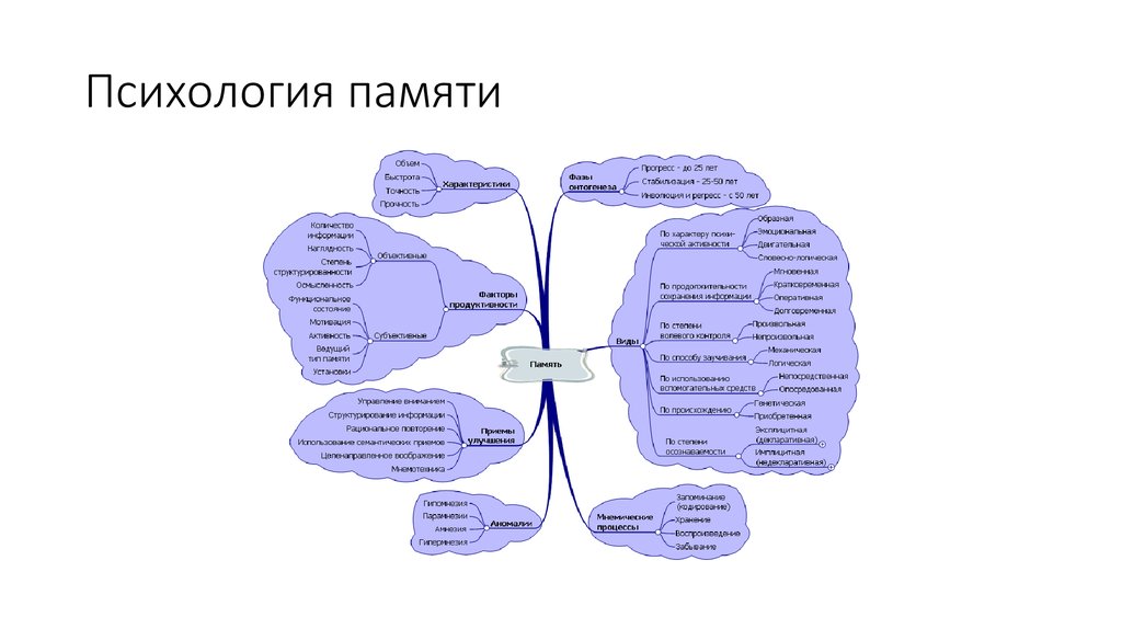 Картинки виды памяти человека