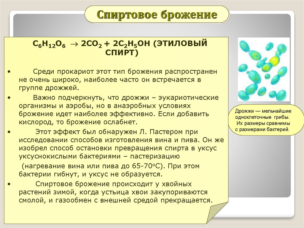 Презентация брожение спиртовое брожение