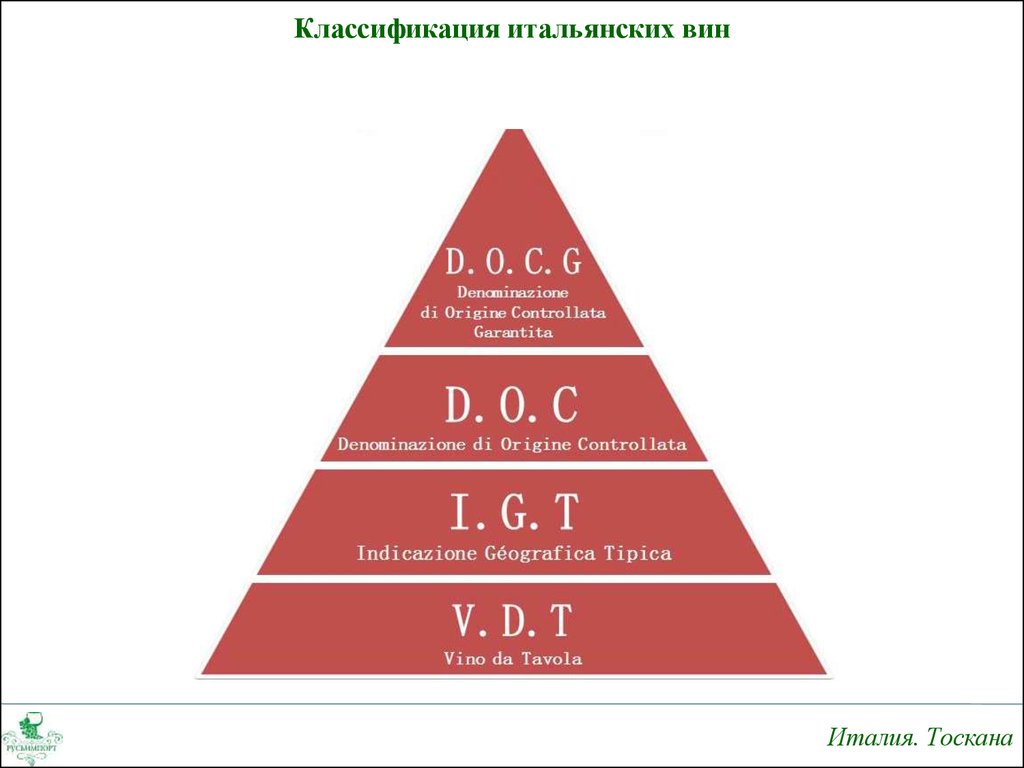 Категории вин. Классификация вин Италии. Классификация итальянских вин. Вино классификация вин Италии. Вина Италии классификация.