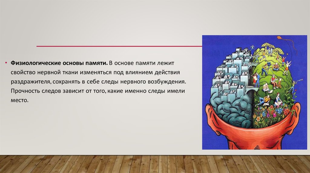 В основе процесса лежит. Физиологические основы памяти в психологии. Физиологическая основа процесса памяти. Анатомо физиологические основы памяти. Физиологические основы памяти в психологии кратко.