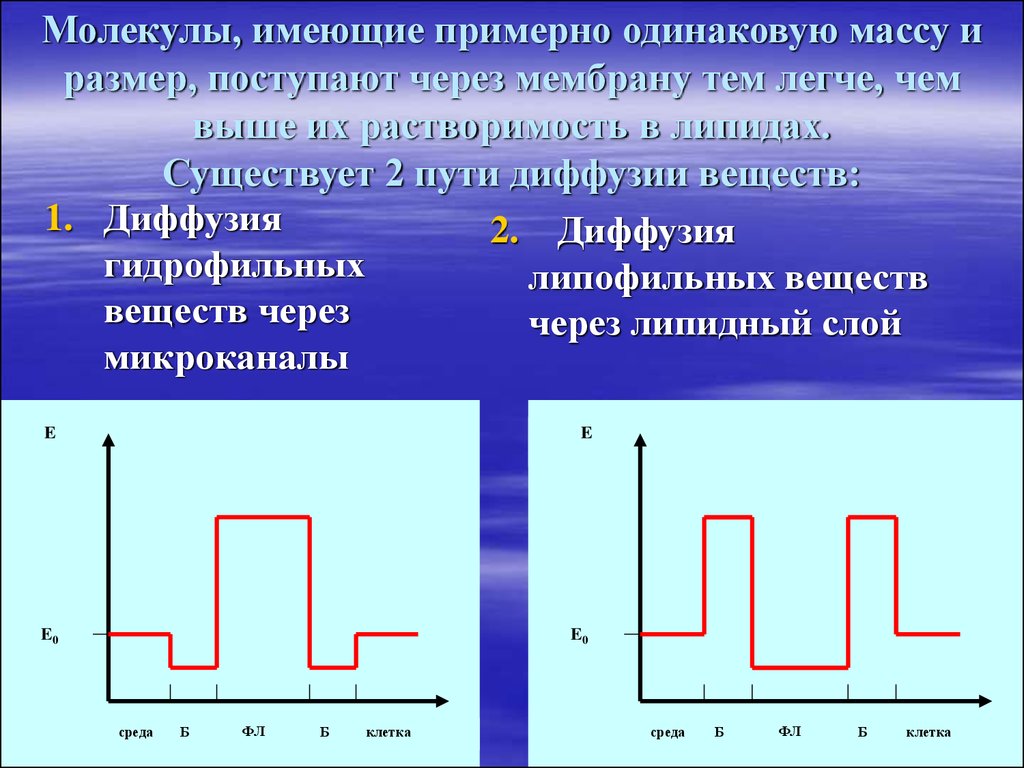 Молекула имеет массу. Диффузионный путь. Молекулы имеет вес ?. Перенос растворимых веществ.