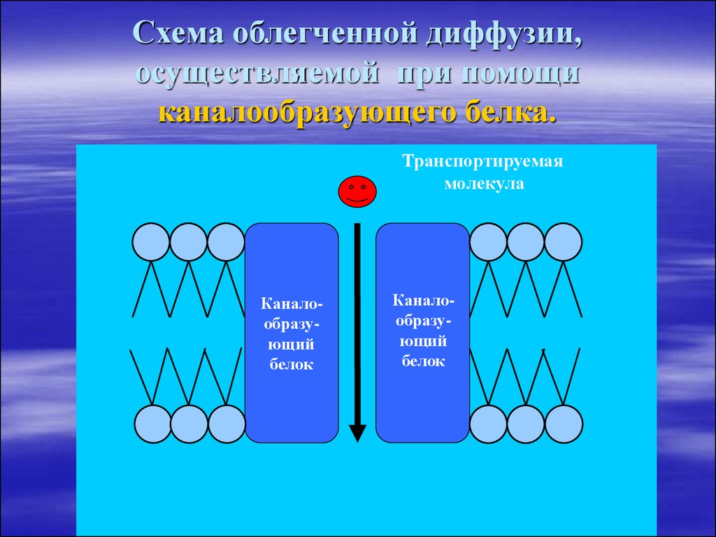 Облегченная диффузия. Схема облегченной диффузии. Облегчённая диффузия. Диффузия схема. Облегченная диффузия схема.