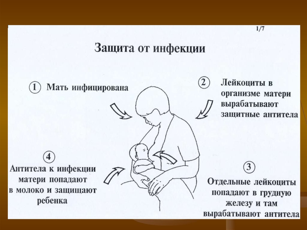 Защитить через. Защитные факторы грудного молока схема. Грудное молоко защищает от инфекций. Грудное молоко предохраняет ребенка от инфекций. Строение грудного молока.