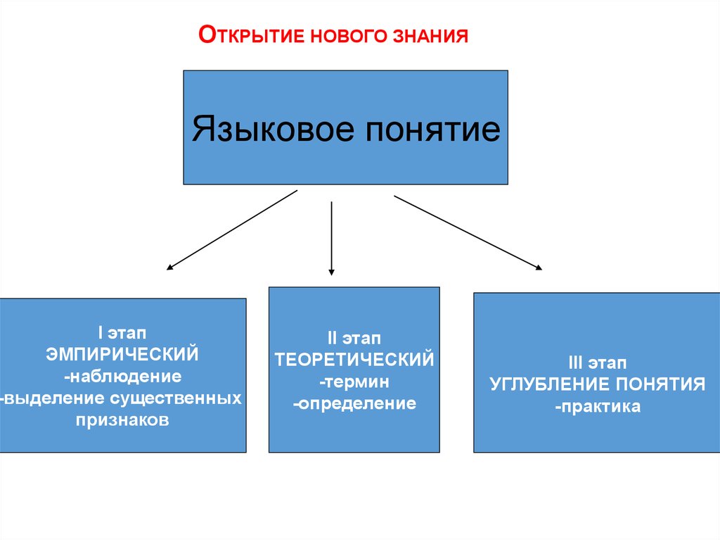 Найти языковую. Формирование языковых понятий. Языковое понятие это. Языковое понятие в начальной школе это. Этапы формирования языкового понятия.