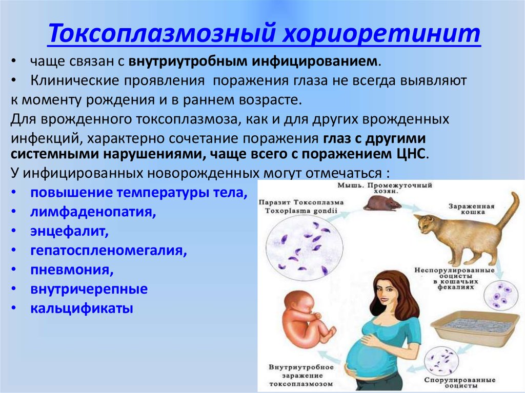 Токсоплазмоз у беременных презентация